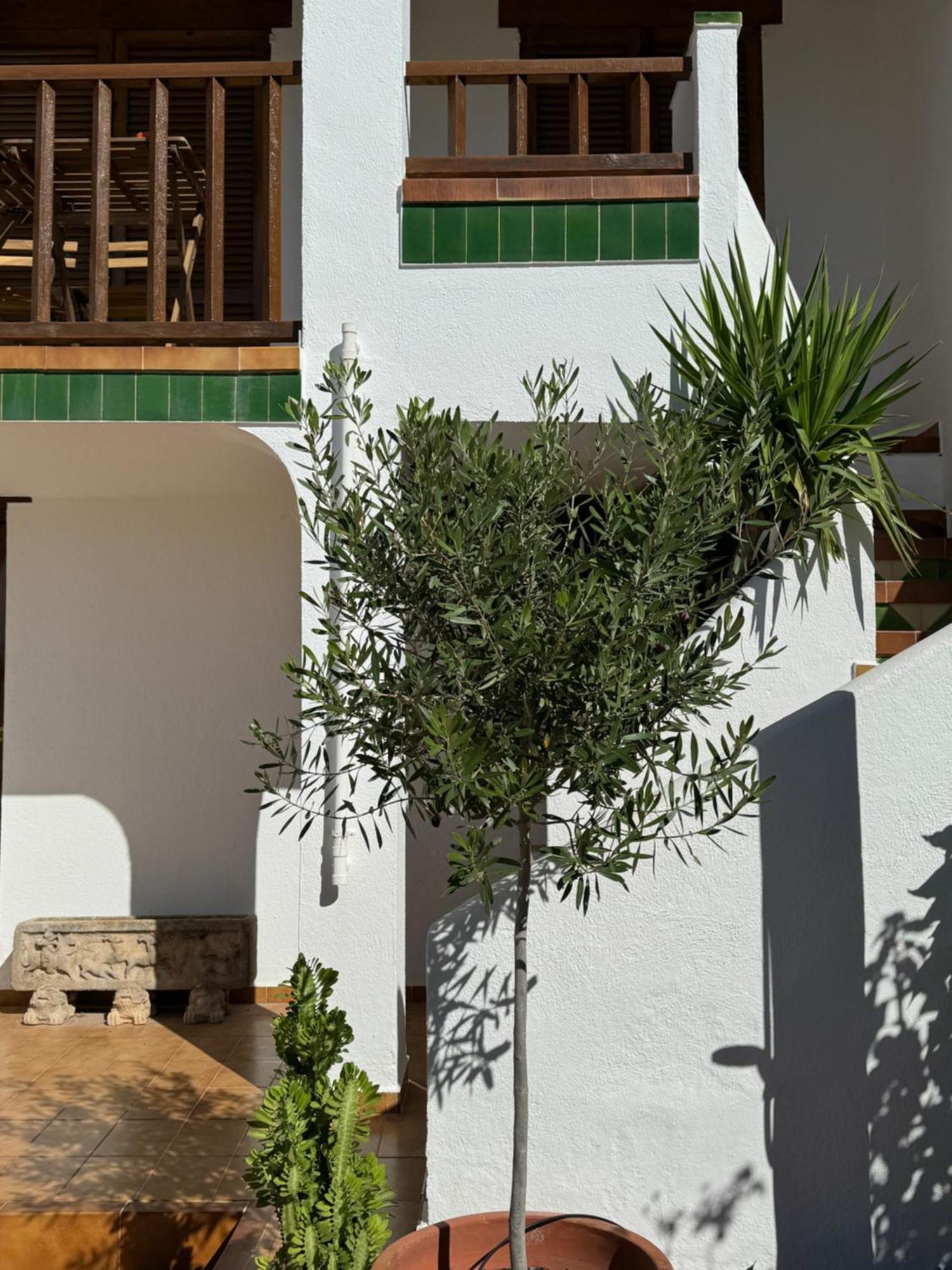 Espectacular Sunny House In The Beach Cunit Bagian luar foto